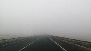 Туман. Остановлено движение фур и маршруток по федеральной трассе