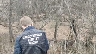 В затопленной лесополосе у железной дороги прохожая нашла труп