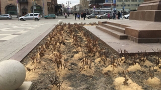 Саратовцев порадуют последние выходные марта: до +19°