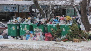 "Зеленый патруль": ситуация с экологией в регионе все хуже от сезона к сезону