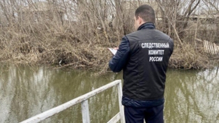 Вольский пенсионер упал в пруд возле дома. Его тело доставали спасатели