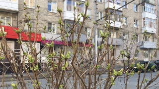 Первый апрельский понедельник будет теплым