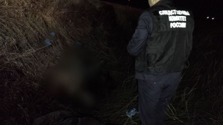 В двух километрах от села нашли человеческие кости