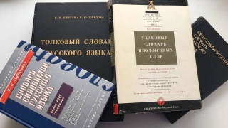 Житель Саратова обматерил свою жену. Это подтвердил эксперт-лингвист