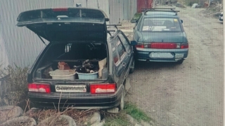 В Саратове пожилой водитель попал под колеса своего же авто