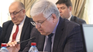На проспекте Столыпина обещают высадить еще 50 голландских вязов