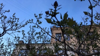 Саратовцев ждет суббота без дождя