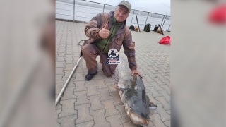 Рыбацкие истории: саратовец поймал на Волге сома на 48 килограммов