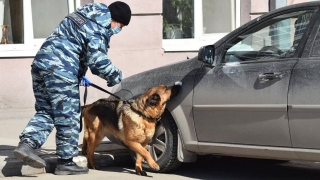 Быть бдительными: саратовцам напоминают о правилах эвакуации и запрете на БПЛА