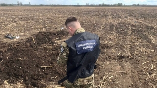В поле под Энгельсом тракторист нашел кости человека