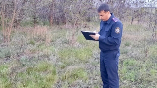 На саратовском поле тракторист нашел человеческие кости