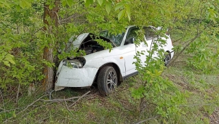 В Саратове на ночной дороге "Приора" вылетела с дороги и врезалась в дерево