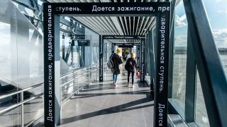 Больше половины саратовцев готовы работать за границей