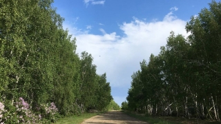 Третья неделя саратовского мая: до +25°, кучевые облака и ливни