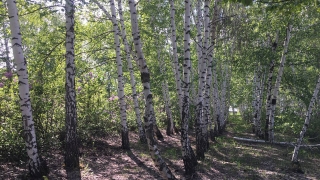 Воскресенье будет очень теплым
