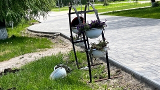 На проспекте Победы разгромили десятки кашпо. Администрация ищет вандалов