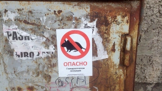 ГЛПС. Саратовцев призывают не запаздывать с обращением к врачам