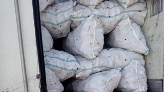А цены растут. Саратовцы не выпустили в Казахстан 20 тонн моркови