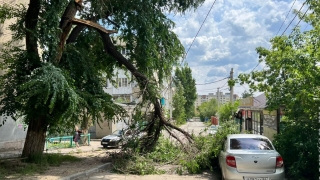 Воскресная непогода в Саратове: ломались деревья и выпал град