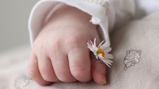 В саратовских семьях родились Арья и Ессея