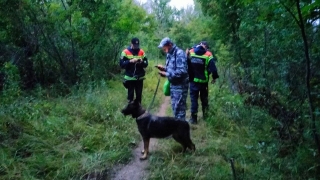 В энгельсском лесу заблудился подросток. Его искали несколько часов