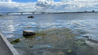 В Саратове начали чистить Волгу в районе набережной