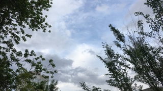 Погода на саратовские выходные: короткие ливни и порывы ветра