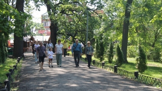 Аллеи, карусели, пеньки. В Саратове вновь открылся городской парк