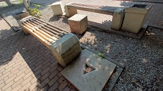 "Что у людей в головах?". Саратовцы возмущены вандализмом в каштановой аллее