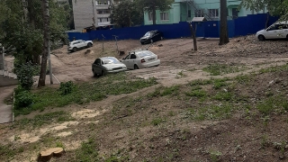 "Саратов превращается в Сахару". Жители Международной возмущены спилом деревьев