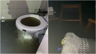 "Салун канул в гуано". На проспекте Столыпина фекальные стоки уничтожили стильное кафе