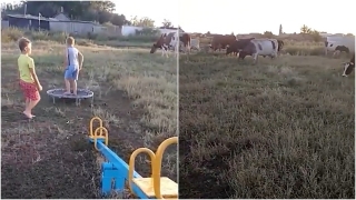 Видео. Сельчане уже 10 лет просят чиновников привести в порядок детскую площадку
