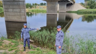 Росгвардейцы вытащили из воды тонувшего саратовца