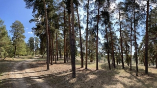 Саратовцев ждет сентябрьская жара до +28°