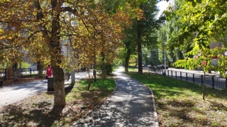 Саратовцев ждет еще один теплый понедельник