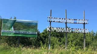 Саратовский губернатор разрешил вырубать деревья на Кумысной поляне
