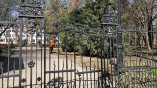 Воскресным утром саратовцы не смогут попасть в "Липки"