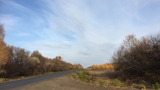 Саратовцев ждет холодная октябрьская среда