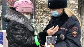 Пешеход, засветись! ГИБДД призывает саратовцев быть внимательными с наступлением темноты