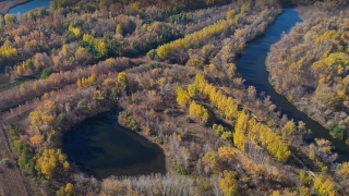 Урочище "Тинь-Зинь" станет памятником природы