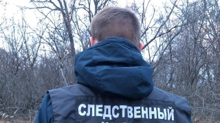 В окрестностях Пугачева нашли мумифицированный труп неизвестного