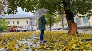 Перемещение циклонов: саратовцам обещают мокрый снег и -2° днем