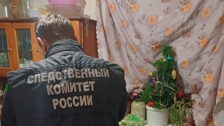 Пьянка на Высокой: саратовец насмерть забил хозяйку дома