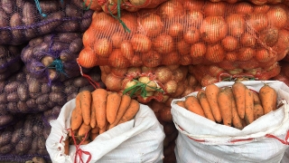Саратовцев приглашают на Театральную площадь за овощами и мясом