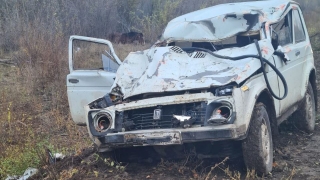 Под Энгельсом авто врезалось в табун лошадей. Погиб человек