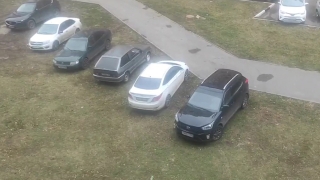 "Для них это норма". В Энгельсе автохамы захватили газон перед многоквартирным домом