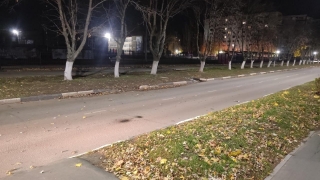 Ночное рандеву на Бульваре Роз окончилось для пешехода-нарушителя госпитализацией