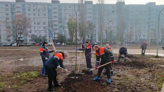 "Т Плюс" высадил аллею в Центральном парке Балакова