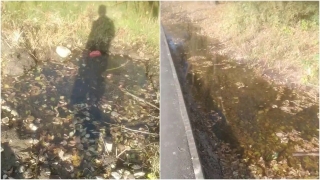 "Хорошо течет водичка". Саратовцы возмущены качеством нового дренажа у школы
