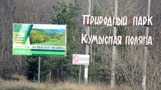 В Саратове создано лесничество Кумысная поляна